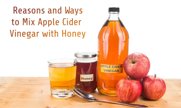 5 Reasons and Ways to Mix Apple Cider Vinegar with Honey