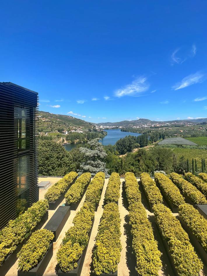 vinícolas em portugal: como visitar (e degustar) o vale do douro