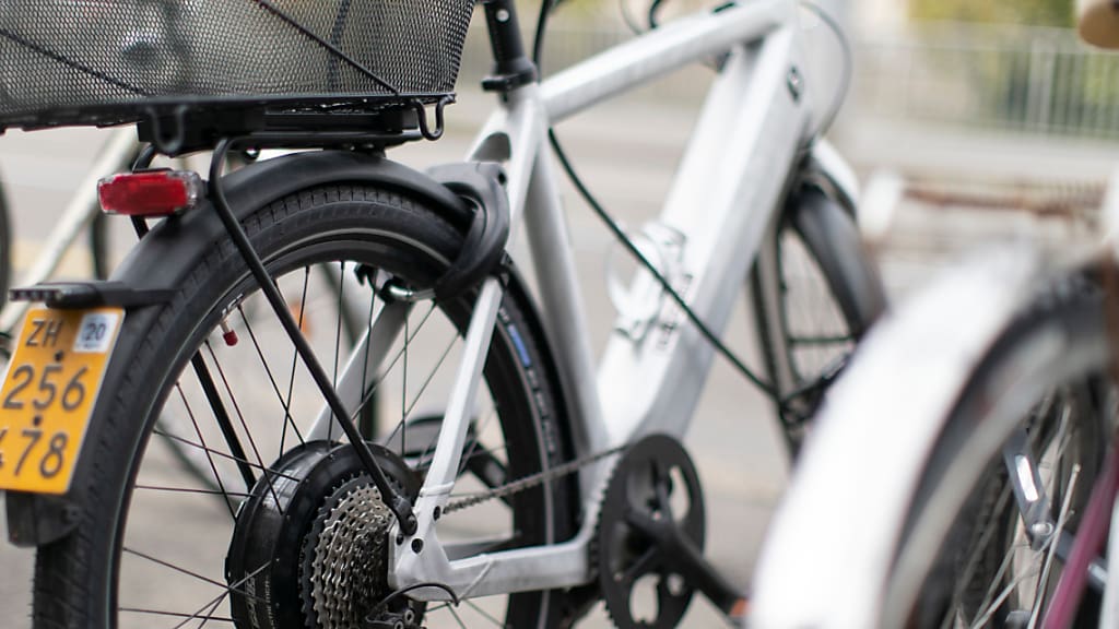 busse von 20 franken droht: ab april gilt für schnelle e-bikes eine tacho-pflicht
