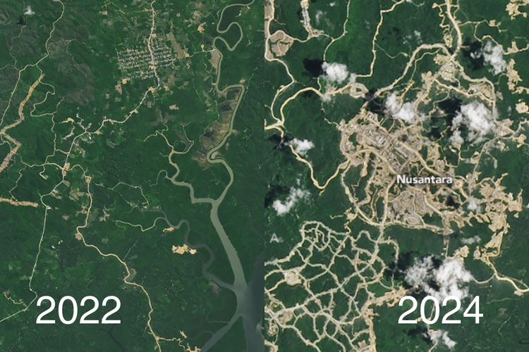 media asing soroti perubahan pesat hutan di ikn yang terekam satelit nasa