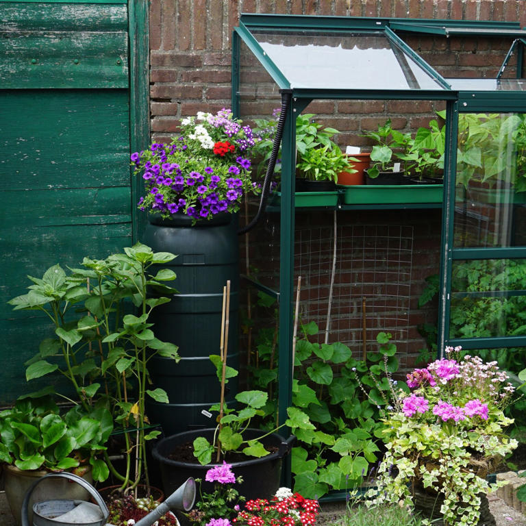 How To Start A Small Vegetable Garden – Because, No, You Don't Need 