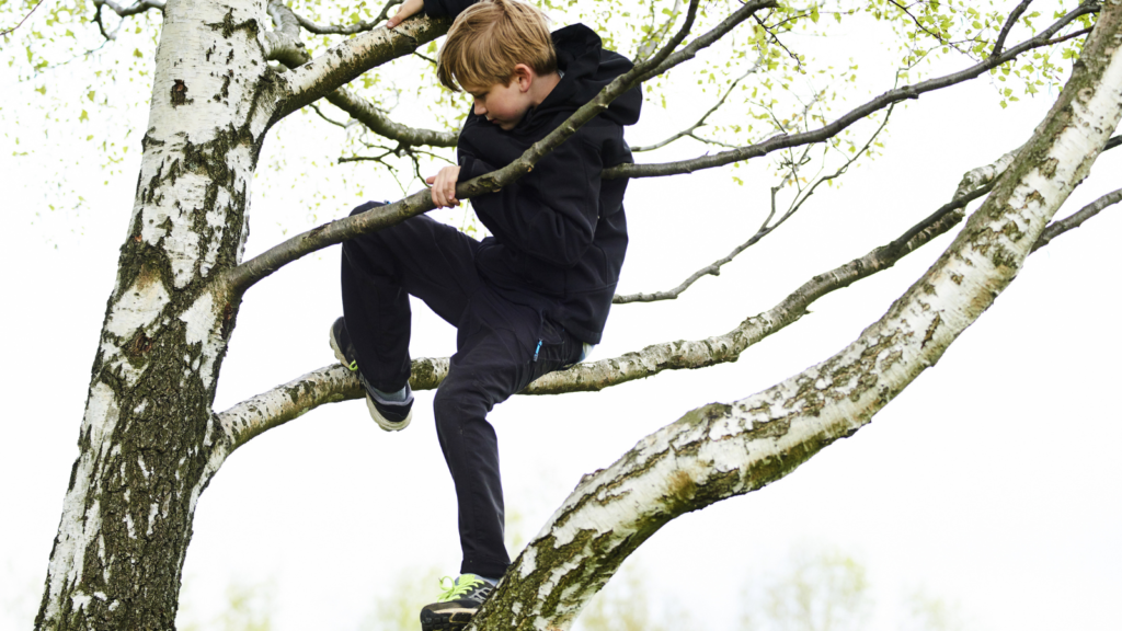 <p>Scaling trees and building forts among the branches was a beloved pastime for children growing up in the ’80s. However, as concerns about safety and liability have increased in recent years, the once-common practice of tree climbing has become less prevalent. </p>