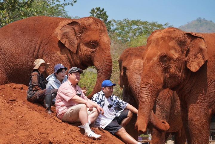 คิมซอนโฮ สุดตื่นเต้นได้ใกล้ชิดช้างไทยครั้งแรก อะเมซิ่งช้างสุภาพ-น่ารัก
