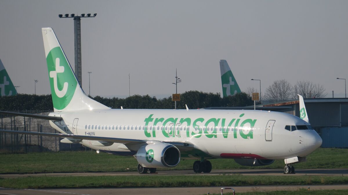 la compagnie aérienne transavia va elle aussi faire payer les bagages de cabine à partir d’avril