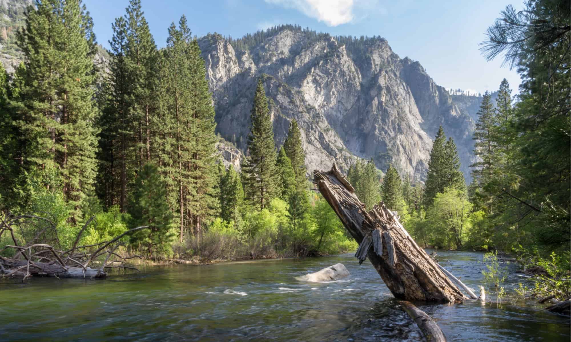 The 10 Best National Parks to Visit in Northern California