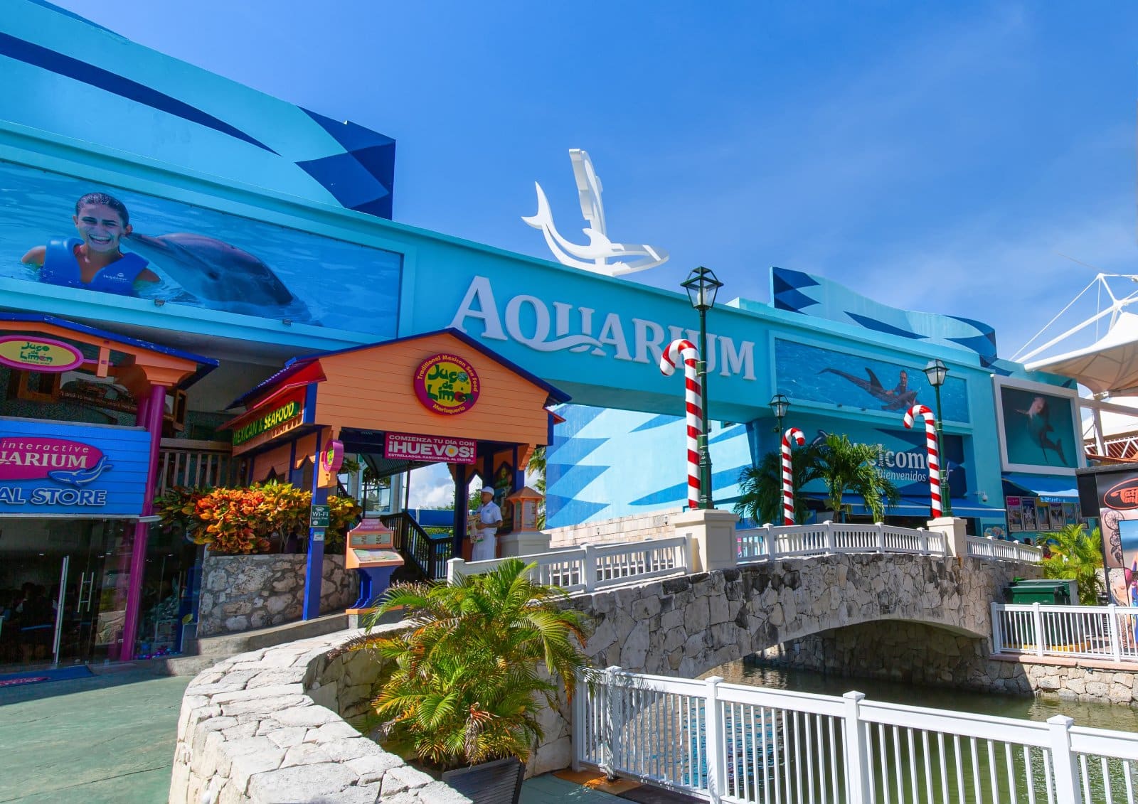 <p><span>The Interactive Aquarium in Cancún offers an up-close experience with marine life, including opportunities to swim with dolphins and feed sharks. It’s an educational and fun experience for all ages, showcasing a variety of aquatic species and conservation efforts.</span></p> <p><b>Insider’s Tip : </b><span>Consider the dolphin swim experience for a memorable interaction with these intelligent creatures.</span></p> <p><b>How To Get There: </b><span>The aquarium is located in La Isla Shopping Village in the hotel zone.</span></p> <p><b>Best Time To Travel: </b><span>Visit on a weekday to avoid the weekend crowds.</span></p>