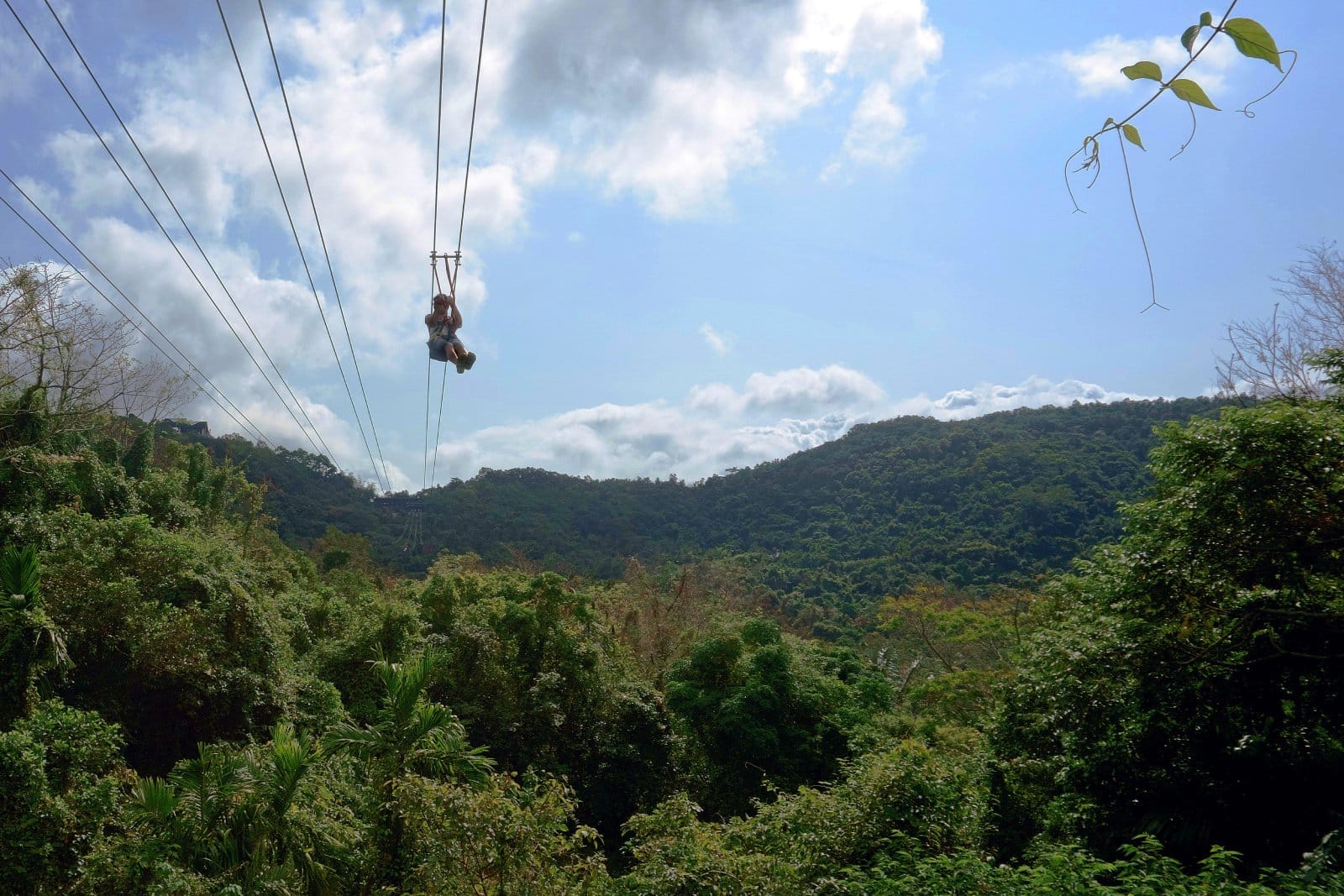 <p><span>For thrill-seekers, Punta Cana’s zip-lining adventures offer an exhilarating way to experience the region’s stunning landscapes. Soar above lush forests and scenic plantations, enjoying panoramic views while getting an adrenaline rush. Various operators in the area provide zip-lining tours that cater to different experience levels, ensuring safety and fun for everyone.</span></p> <p><b>Insider’s Tip: </b><span>Wear comfortable and secure clothing suitable for physical activity, and don’t forget to secure any loose items before your ride.</span></p> <p><b>How To Get There: </b><span>Most zip-lining tours include hotel pick-up and drop-off services.</span></p> <p><b>Best Time To Travel: </b><span>From December to April, the dry season is the most comfortable time for outdoor activities like zip-lining.</span></p>