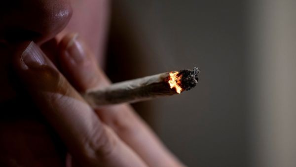 studie zeigt: cannabis kann schwere krankheiten auslösen
