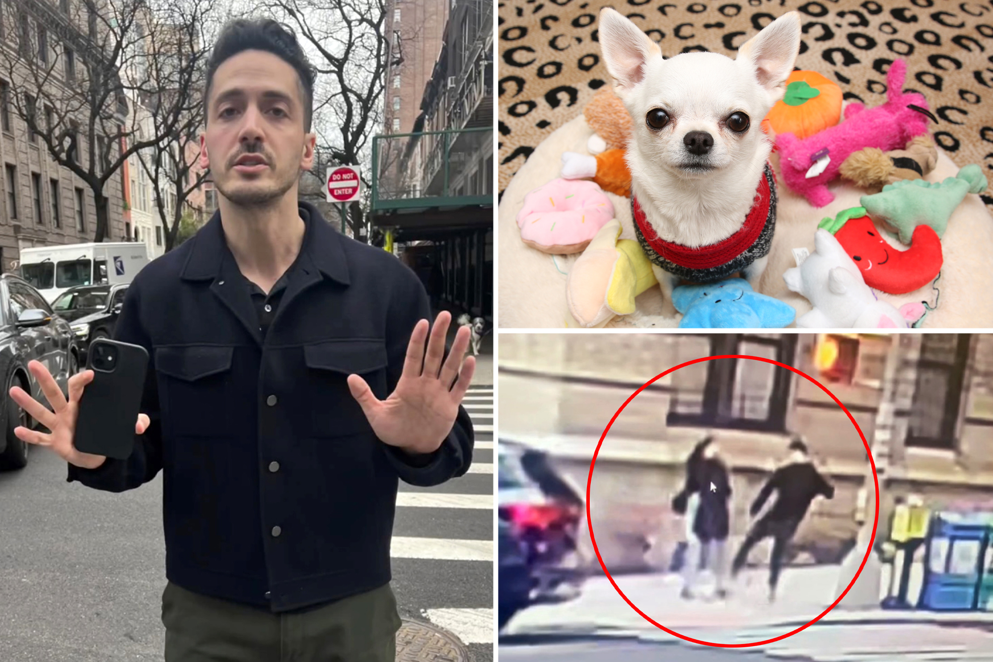 Google Worker Seen Kicking Woman’s Tiny NYC Rescue Dog In Viral Video ...