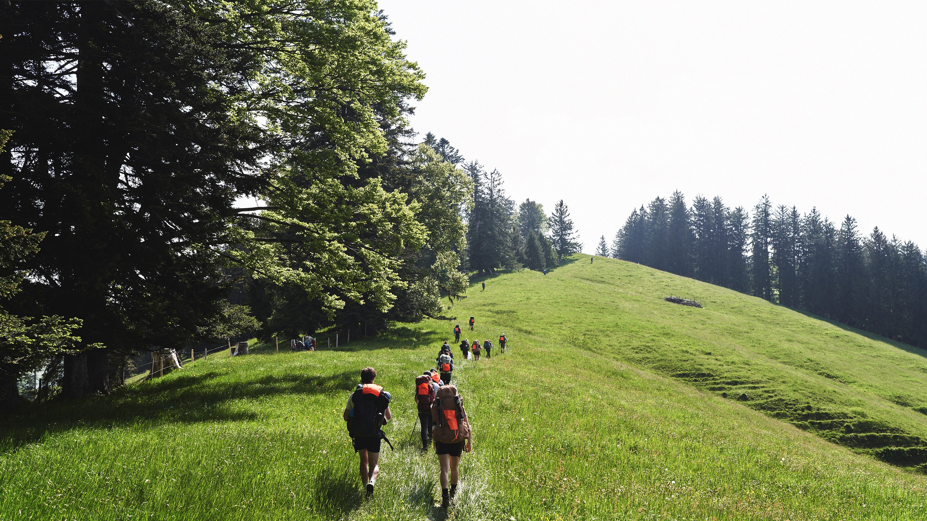 wandern in deutschland: diese 3 organisierten hiking-eventreihen musst du kennen