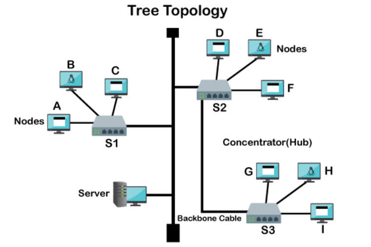 fungsi topologi tree dalam jaringan komputer yang perlu diketahui