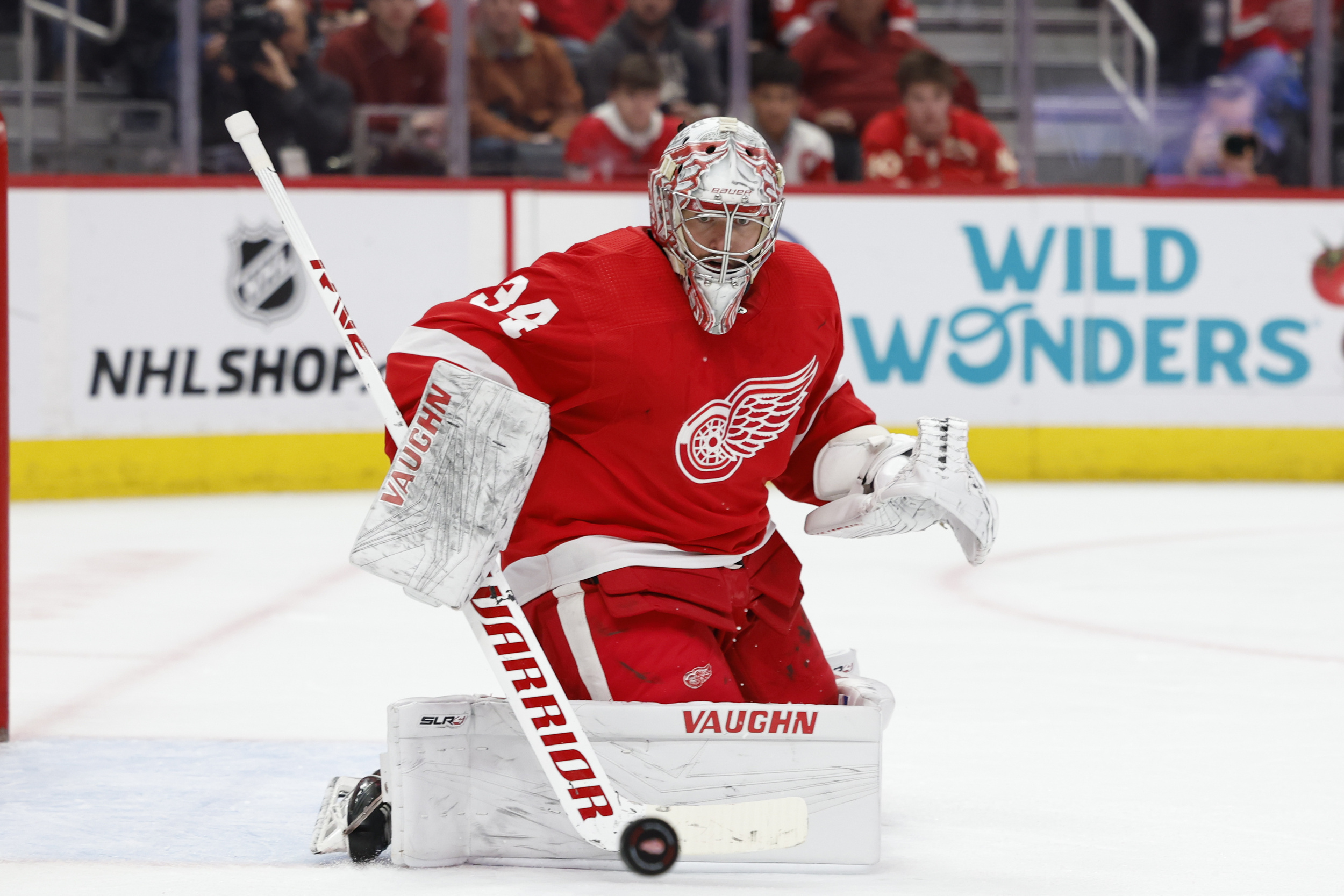 Red-hot Red Wings Goalie Has Warning For Team Amid Stanley Cup Hype