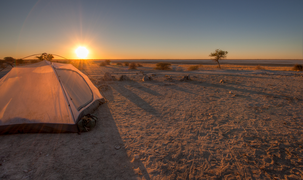<p>At Jack’s Camp, visitors get the unique experience of staying in tents near the shimmering Makgadikgadi salt pans. </p>  <p>Activities here cater to the more adventurous side, with game drives, <strong>rides on quad-bikes</strong>, and unforgettable encounters with meerkats.</p>
