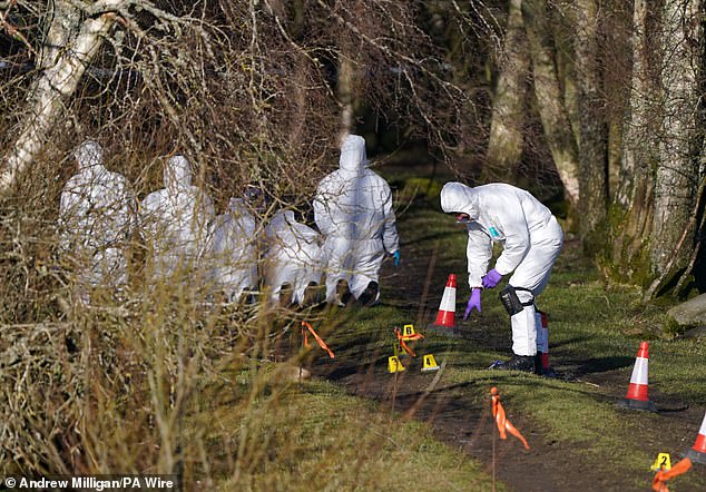 pictured: millionaire financier's ex-groundsman, 65, shot dead as he walked his dog as 'devastated' family say they are at a 'complete' loss' over his killing