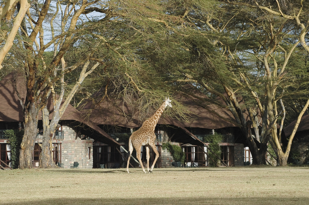 <p>Incredible views aside, travelers are drawn to ol Donyo for the cool activities here. From horseback riding to mountain biking and <strong>unparalleled views of Mount Kilimanjaro</strong>, a visit at this lodge makes for unforgettable memories.</p>
