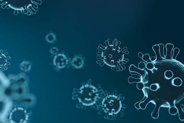 norovirus genera alerta en ee. uu. por aumento de casos: estos son los síntomas