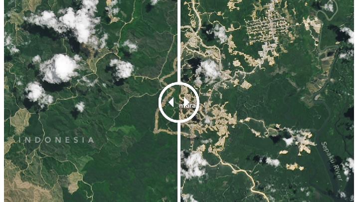 foto satelit nasa soroti penyusutan kawasan hutan kalimantan akibat pembangunan ikn