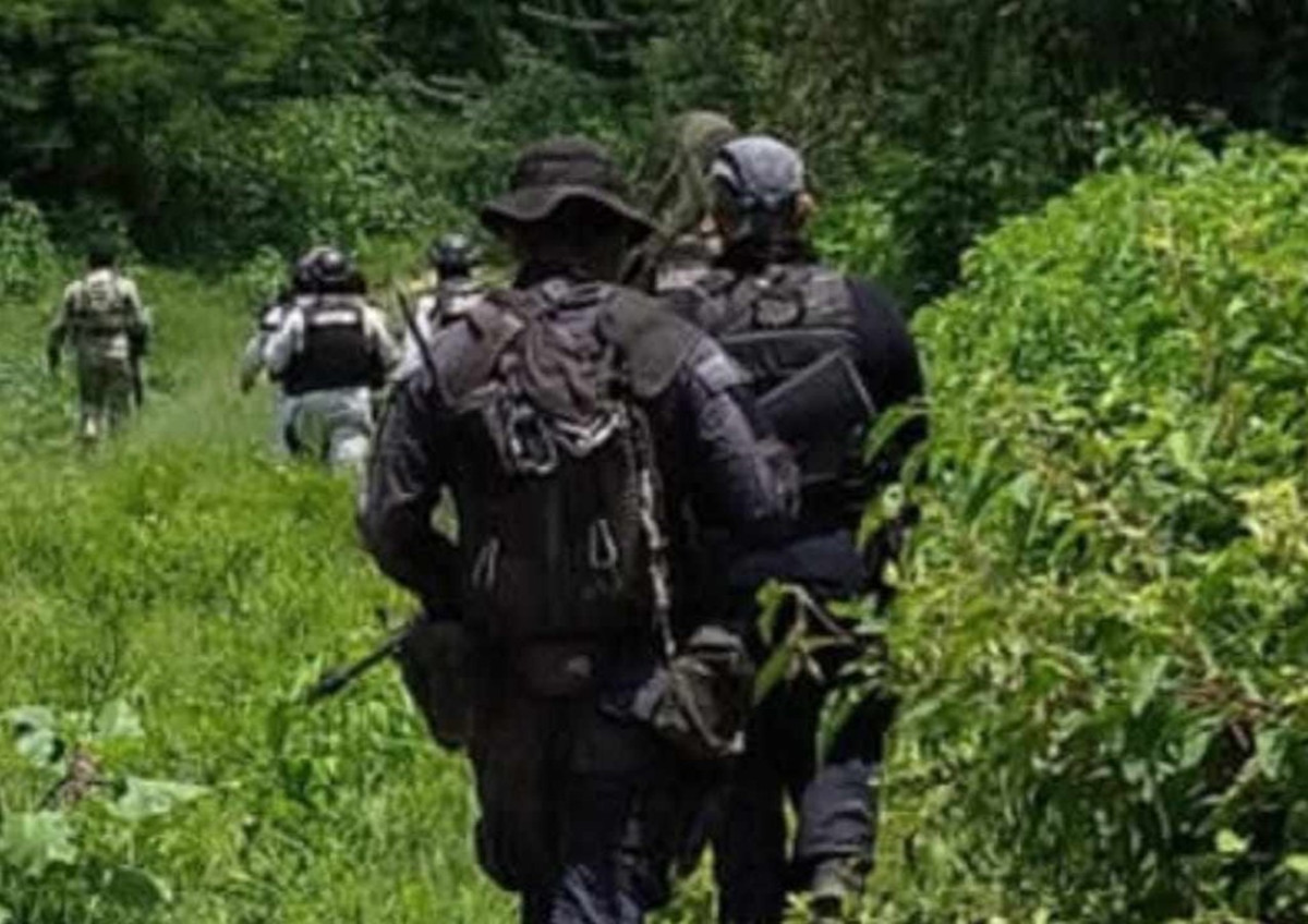 con narcodrones y narcominas emboscan a militares en tepalcatepec, michoacán; hay cuatro muertos