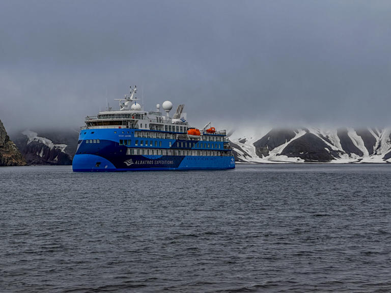 How to Choose the Best Antarctica Cruise & What You Can Expect