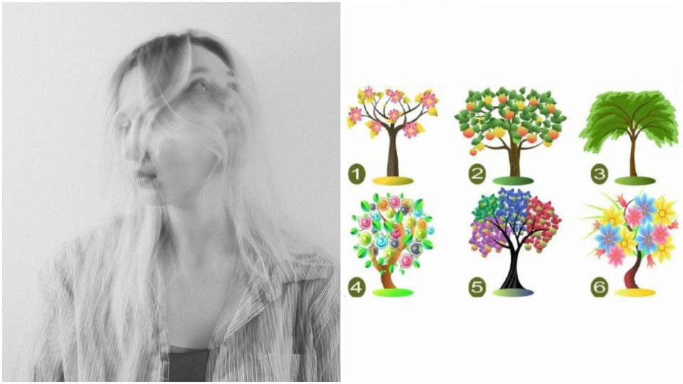 drzewo, które przyciąga twoją uwagę, ujawnia dominujące cechy twojej osobowości