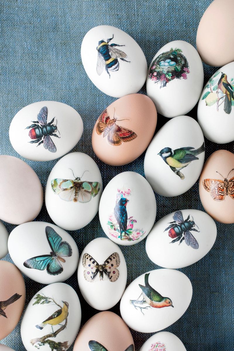 We Put All Our Best Easter Egg Decorating Ideas in One Basket (Well ...