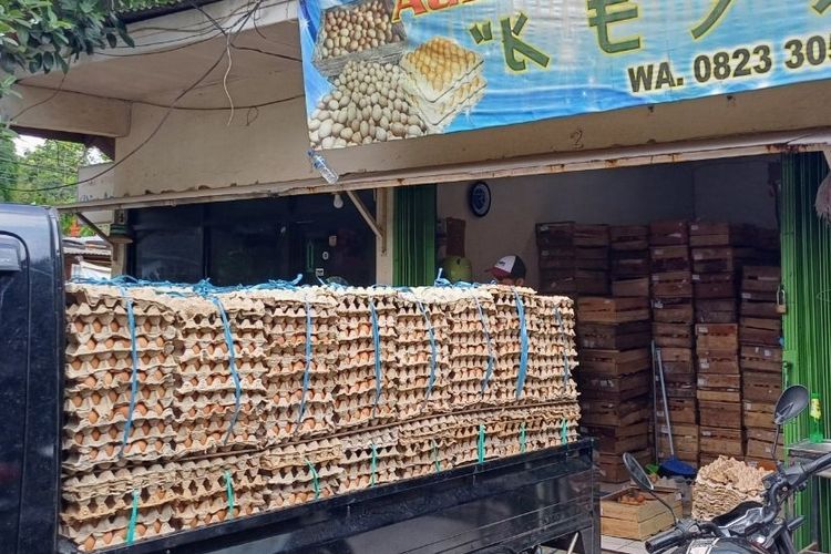 sebut harga telur naik sejak pemilu, distributor: kami kaget, satu peti naik rp 20.000!