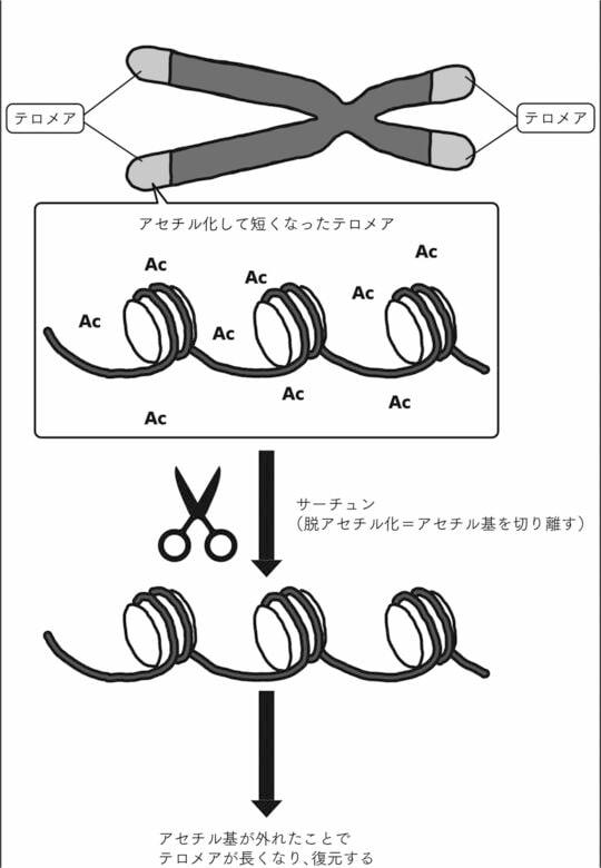 （画像：『最新科学で発見された 正しい寿命の延ばし方』より）