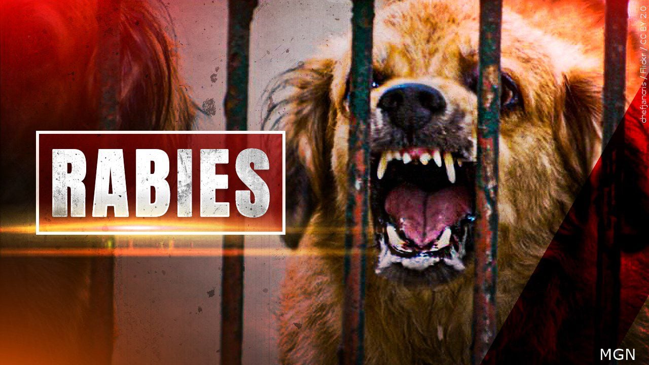 Rabies Alert Issues For Parts Of Columbia County