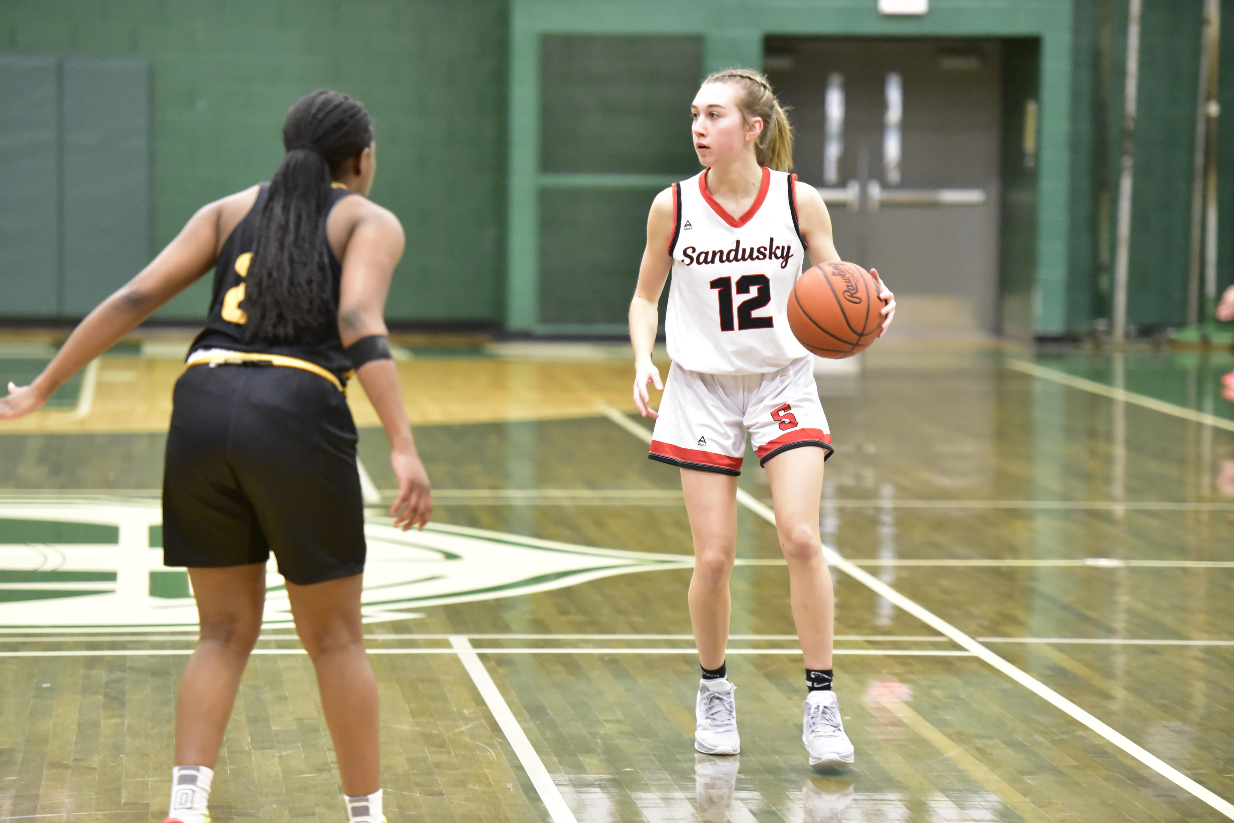 Sandusky Girls Basketball Claws Past Montrose To Win Division 3 ...