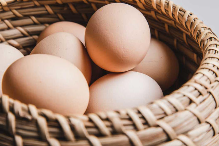 microsoft, ¿son las claras de huevo más saludables que los huevos enteros para consumir? revisión de profesionales en nutrición