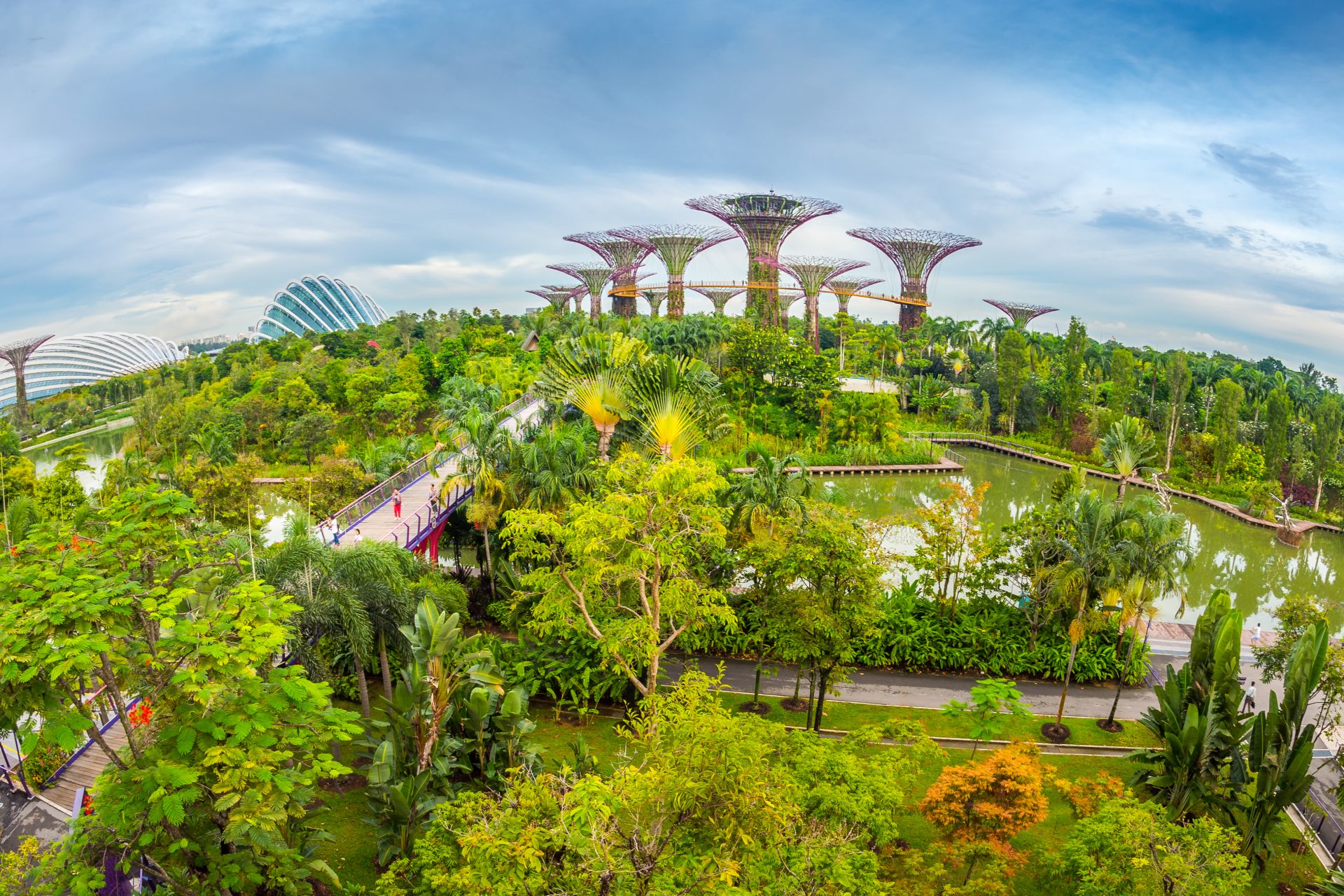 <p>The entire city-state of Singapore is possibly the world's first “biophilic city.” The local government has made an effort to incorporate plants, water, and wildlife into buildings, parks, cityscapes, and government offices.</p>