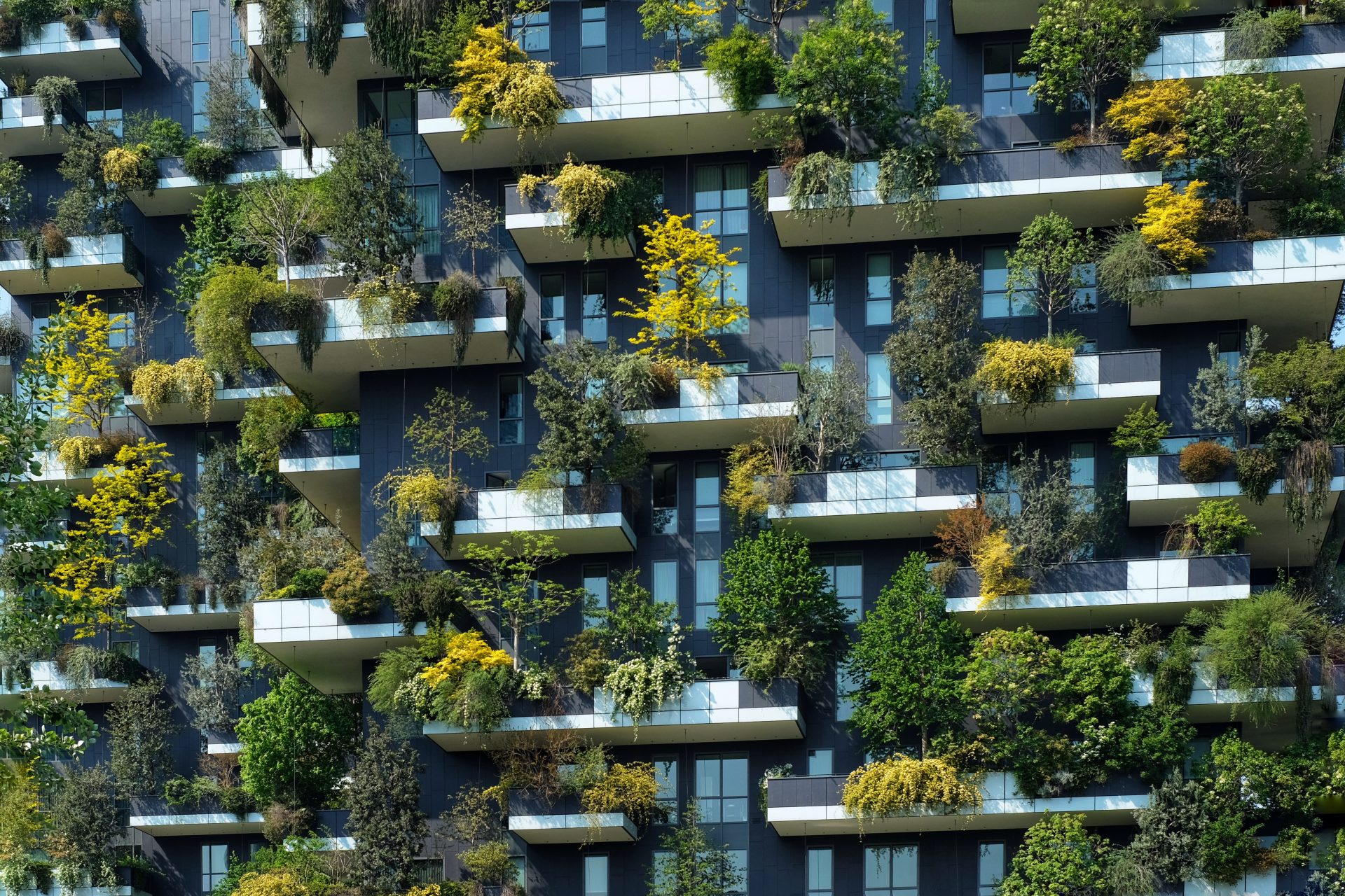 <p>In the wonderful 'Bosco Verticale' in Milan, vegetation is replenished by rainwater harvesting systems, replicating natural conditions and creating a subtle variation in temperature, humidity, and air drifts.</p>