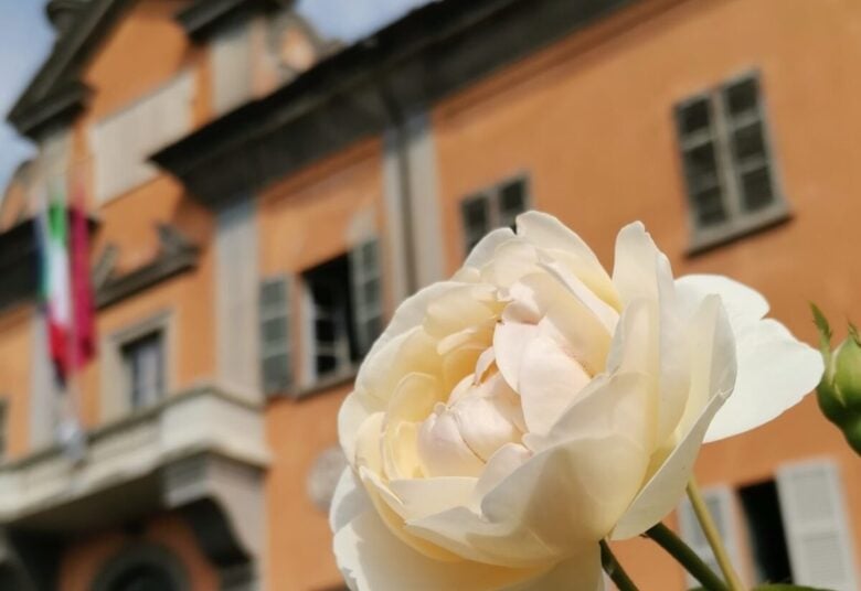 L’incredibile Bellezza Degli Orti Botanici In Lombardia: Alla Scoperta ...