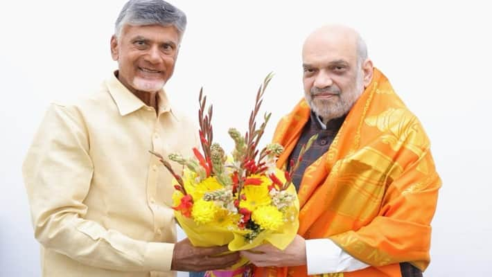 Lok Sabha Elections 2024: BJP-TDP Reach Seat Sharing Arrangement