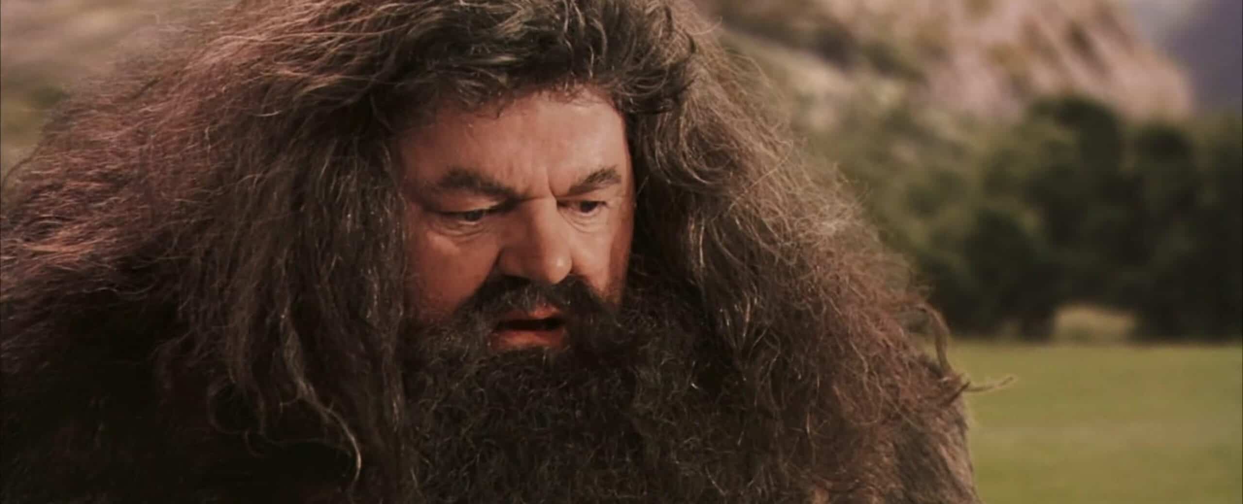 <ul> <li><strong>Who said it:</strong> Hagrid</li> <li><strong>Played by:</strong> Robbie Coltrane</li> <li><strong>Movie:</strong> Harry Potter and the Sorcerer's Stone (2001)</li> </ul> <p>This is perhaps the most famous line in all of Harry Potter because it's the moment Harry finds out who he really is. This line, delivered by Hagrid, is one that has been repeated by Harry Potter fans everywhere ever since "Harry Potter and the Sorcerer's Stone" made it to the big screen.</p>
