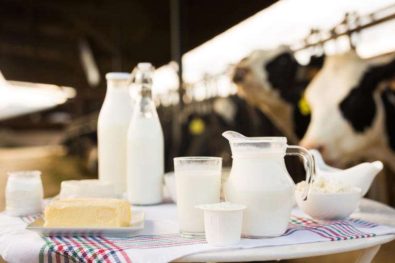 Dentro de las propuestas de Fedegán esta la de promover campañas efectivas de fomento al consumo, como la semana del queso, o de la leche, que estimulen la demanda. “Si existe la semana de la hamburguesa ¿por qué no la del queso?”, se cuestionó José Félix Lafaurie.