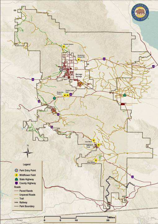 Wildflower map: Pro tips to finding blooms at Anza-Borrego Desert State ...