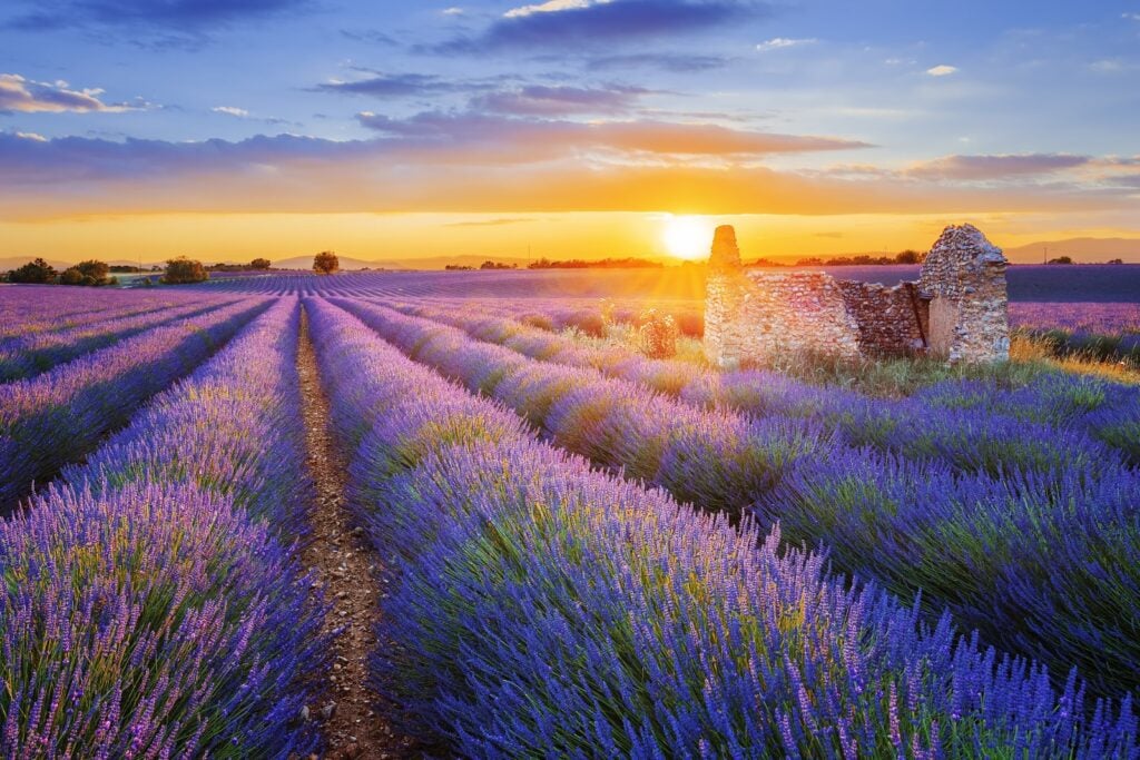 <p>Known for its lavender fields, fine cuisine, and quaint villages.</p>