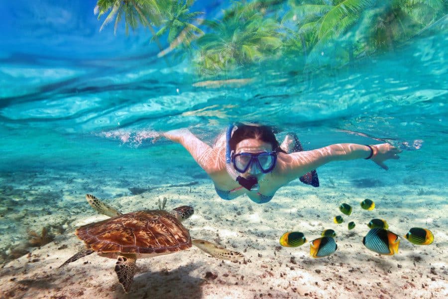 <p>If you’re looking for the best places to snorkel in the Caribbean, you’ve come to the right place! We’ve got all the info you need on where to go and what to expect. So dive in and explore some of the world’s most beautiful coral reefs!</p>