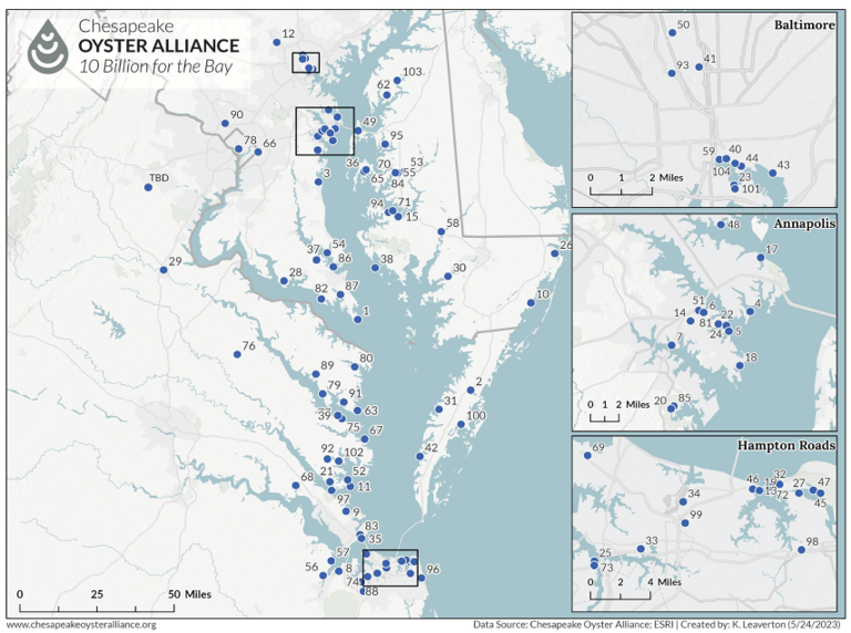 Chesapeake Oyster Revival Surpasses 6 Billion Mark