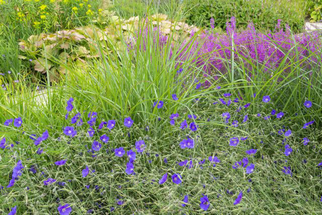 25 Flower Bed Ideas That Will Inspire Your Garden Design