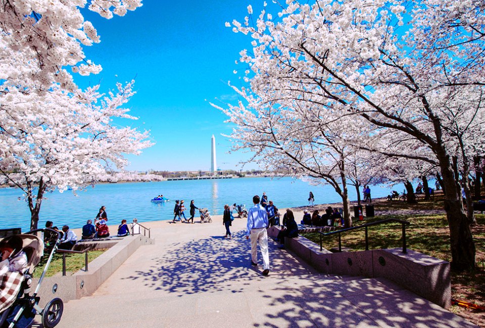 Cheap Spring Break Travel Ideas for Families