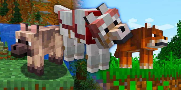 Minecraft: All Wolf Variants From Java & Bedrock Editions