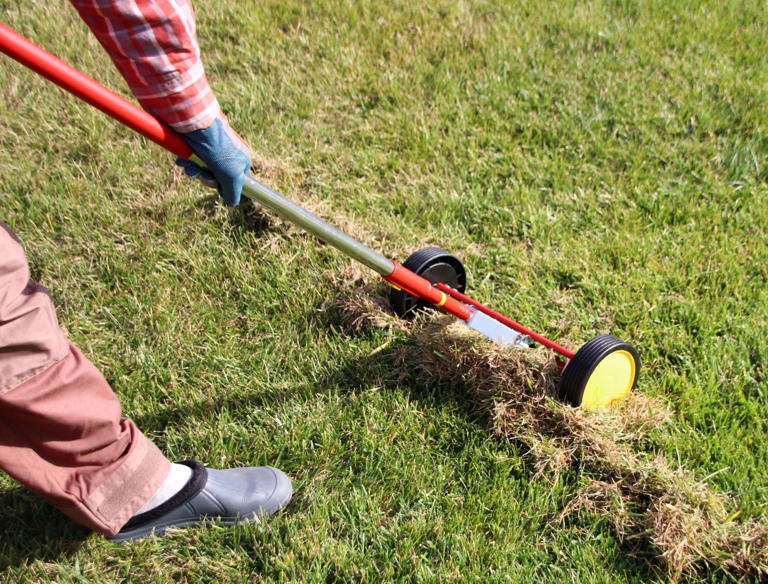 When to Dethatch Lawns in Early Spring