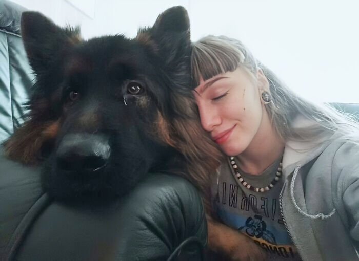 80 Dogs Who Don’t Understand How BIG They Are (New Pics)