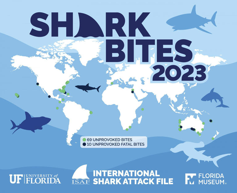 Report showcasing global shark bite statistics in 2023.