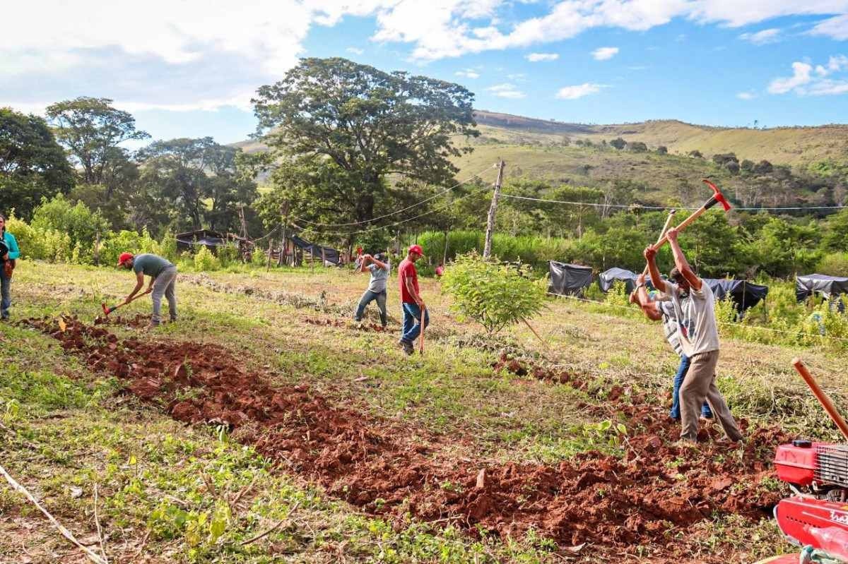 Justiça Nega Reintegração De Posse De Fazenda Ocupada Pelo Mst Na Grande Bh 8548