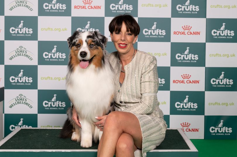 Crufts 2024 Winners Latest With All The Best In Show Finalists   BB1jCxZv.img