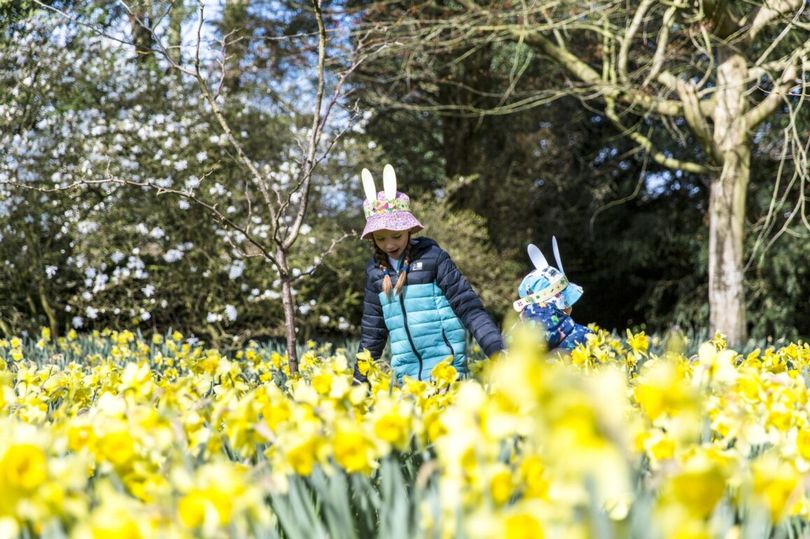 All the Easter events happening at National Trust sites across Cambridgeshire