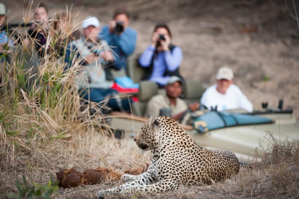 <p>Always prioritize the welfare of the animals and the environment over getting the perfect shot.</p>